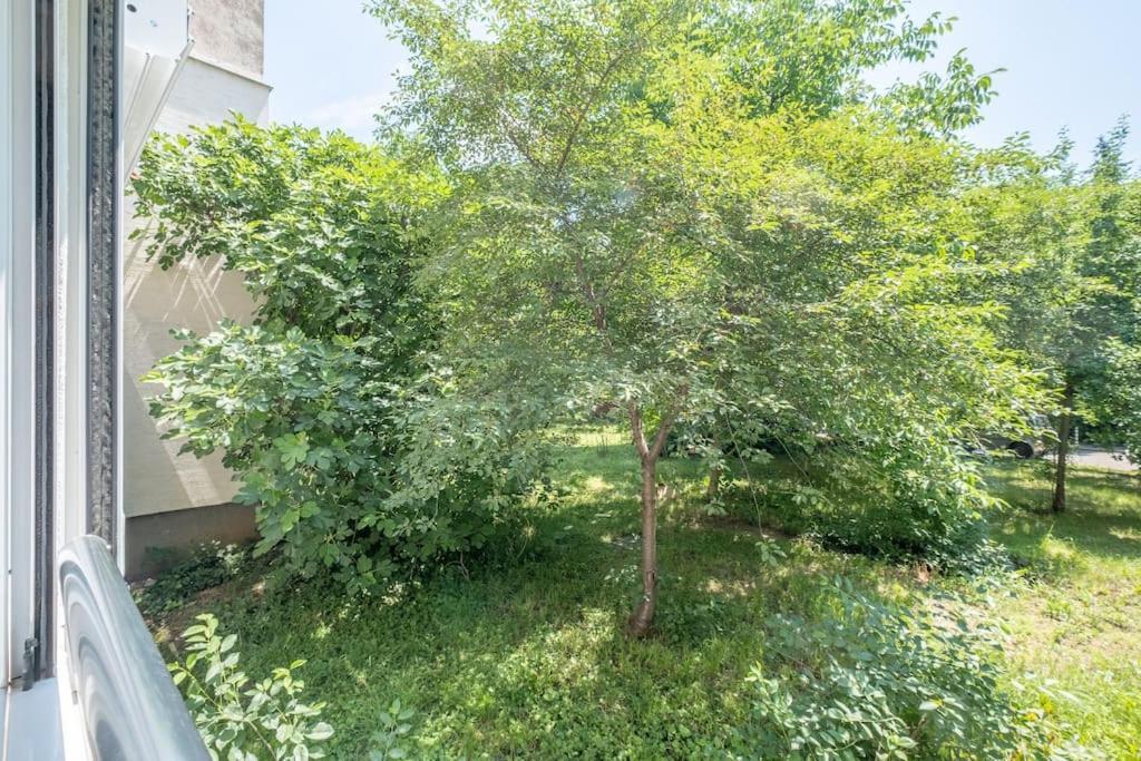 Top Location, Brand New 3 Bdrm Apt & Free Parking Софія Екстер'єр фото
