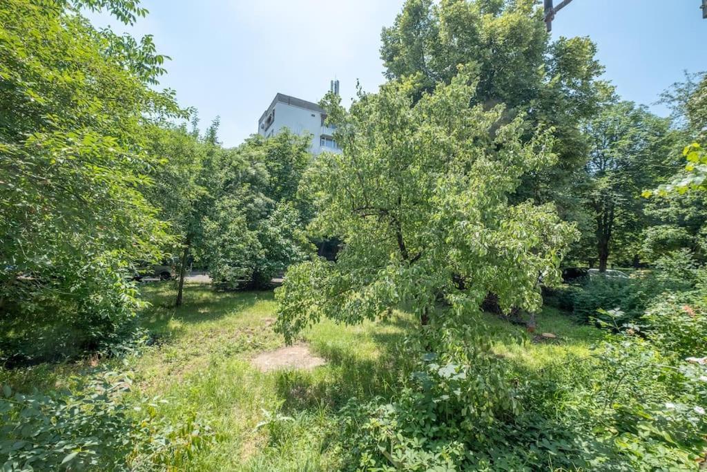 Top Location, Brand New 3 Bdrm Apt & Free Parking Софія Екстер'єр фото