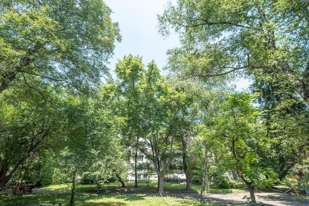 Top Location, Brand New 3 Bdrm Apt & Free Parking Софія Екстер'єр фото